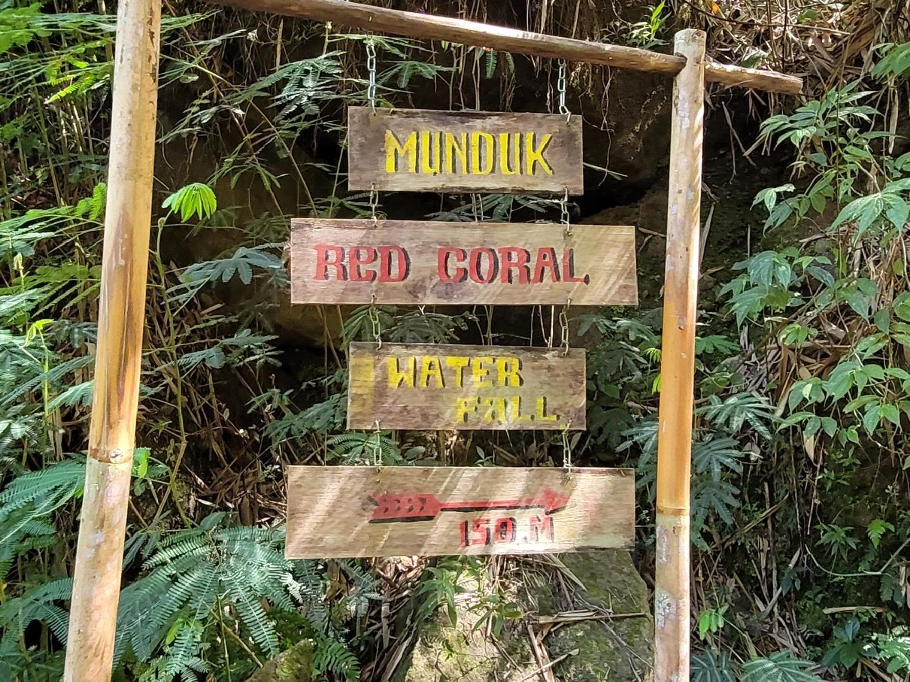 Ferienwohnung Umah Yugadi Bali Munduk Exterior foto