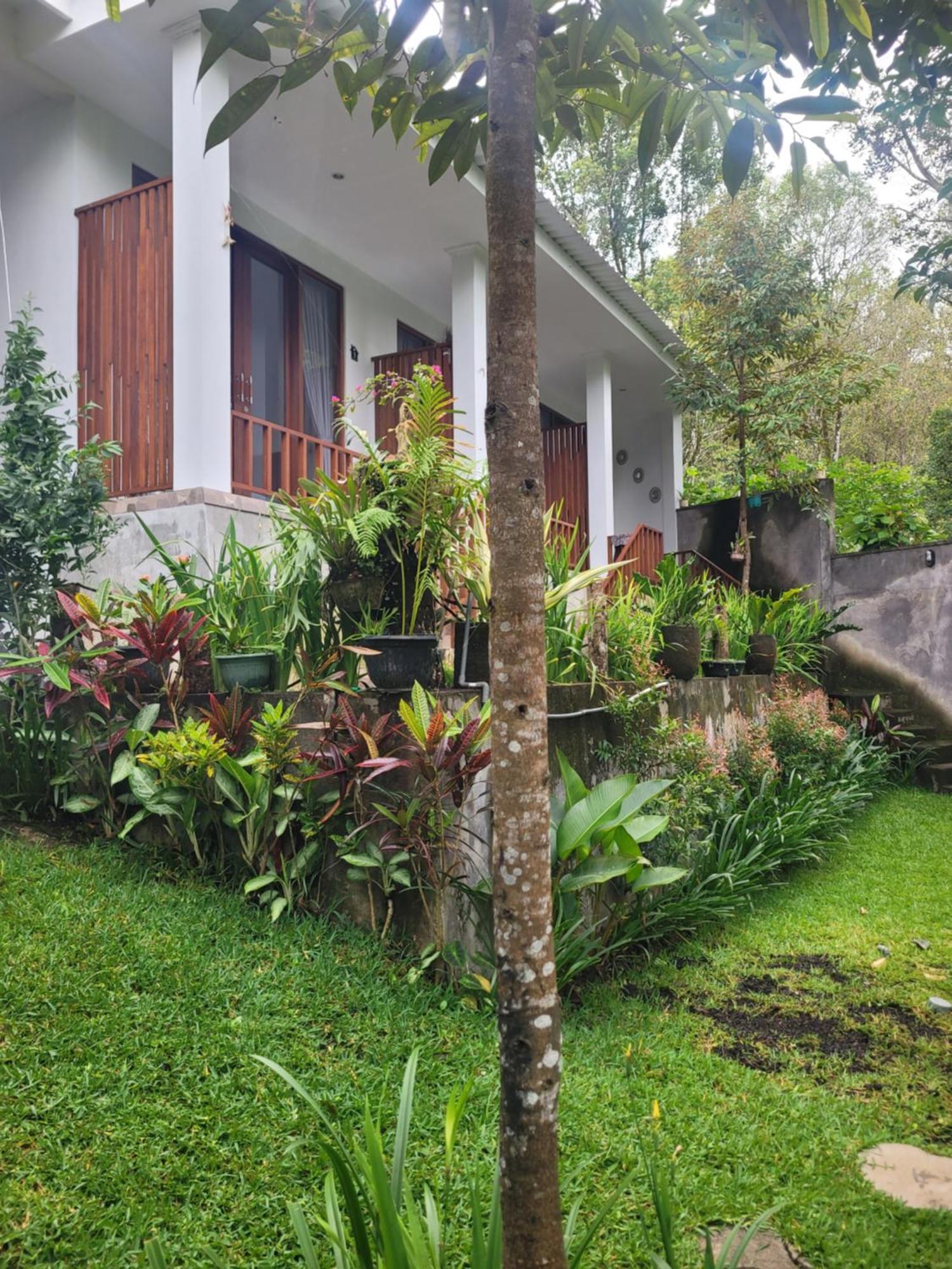 Ferienwohnung Umah Yugadi Bali Munduk Exterior foto